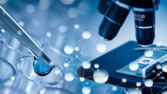 生物類似藥研發(fā)中的技術(shù)轉(zhuǎn)讓 關(guān)鍵問題與策略解析